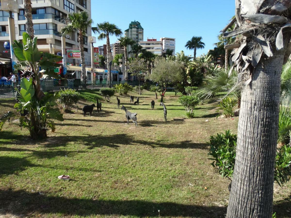 Apartment 2 Bedrooms, 250M Levante Beach Benidorm Luaran gambar